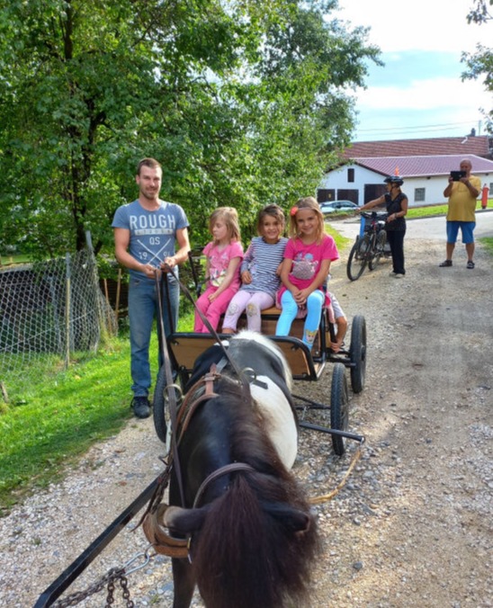 Kutsche fahren